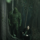 Swamp Thing and the Phantom Stranger.